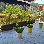 Wine Garden Old With Large Terrace * Skradin