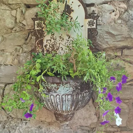 Apartment Wine Garden Old With Large Terrace *