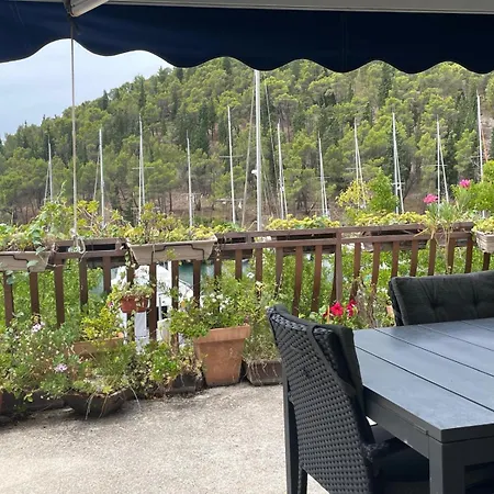 Wine Garden Old With Large Terrace Apartment