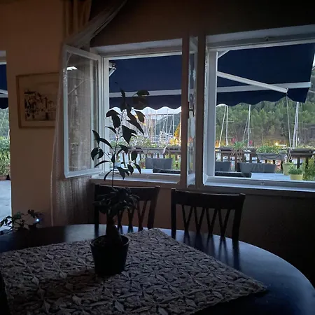 Wine Garden Old With Large Terrace Apartment
