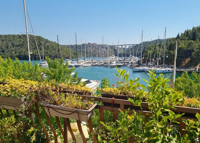 Wine Garden Old Skradin