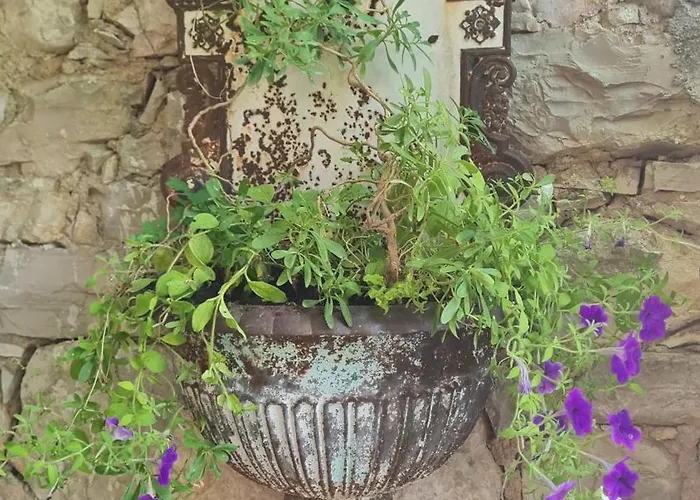 Apartment Wine Garden Old *